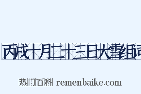 丙戌十月二十三日大雪组词是什么意思的图片